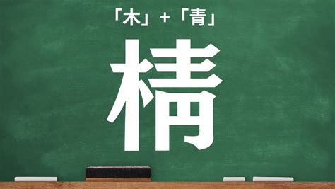 木 象|木＋象の漢字「橡」！読み方や意味などを一発チェック